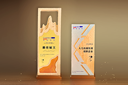 纽约国际588888国际一举斩获“2024年度中国区最佳雇主”等多项大奖